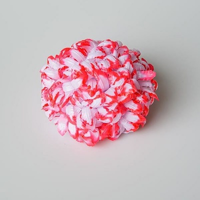 Chryzantéma vosková - bíločervená 14 cm - 24 ks