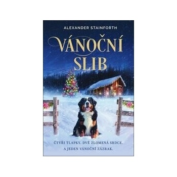 Vánoční slib - Alexander Stainforth