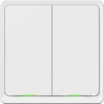 TESLA Smart Switch Dual TSL-SWI-WIFI2