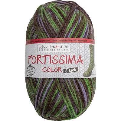 Schoeller Stahl Fortissima color 8-fach 0805