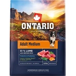 ONTARIO Adult Medium Lamb & Brown Rice 2, 25 kg