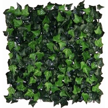 HEDERA, dílec 50 x 50 cm