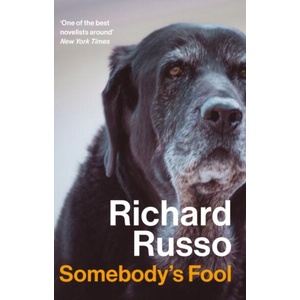 Somebody's Fool (ISBN: 9781838959616)