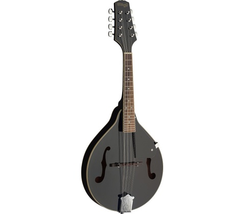 Stagg M20