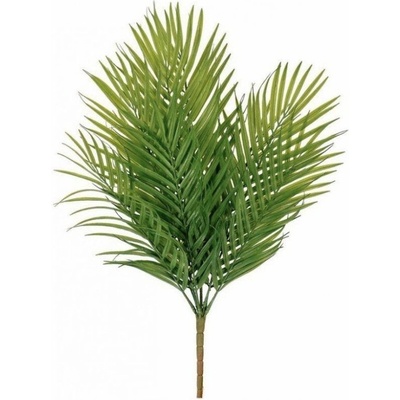 Palmové listy trs 60 cm
