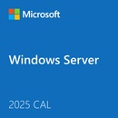 Microsoft Windows Server CAL 2025 ENG (EP2-25261)