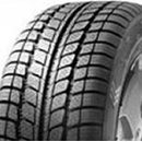 Fortuna Winter 2 185/55 R14 80T