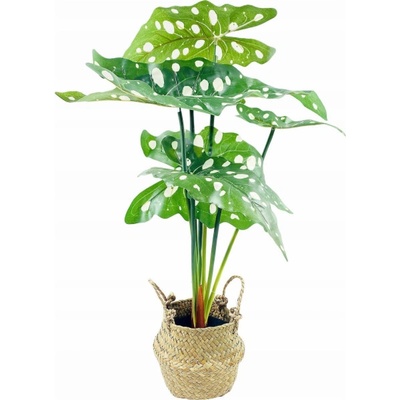 Eurofirany Alocasia, umělá květina v košíku