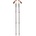 Black Diamond Trail Cork 100-140 cm anthracite/orange (BD1100656052ALL1)