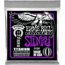 Ernie Ball 3120