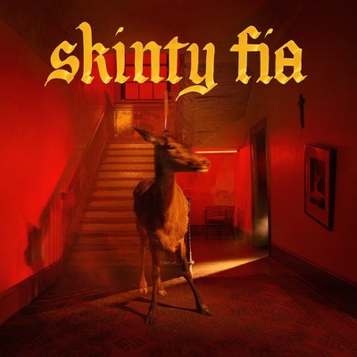 Fontaines D.C. - Skinty Fia CD