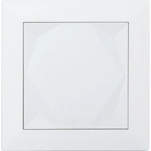 Loxone 100155