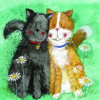 Přání Toffee & Treacle