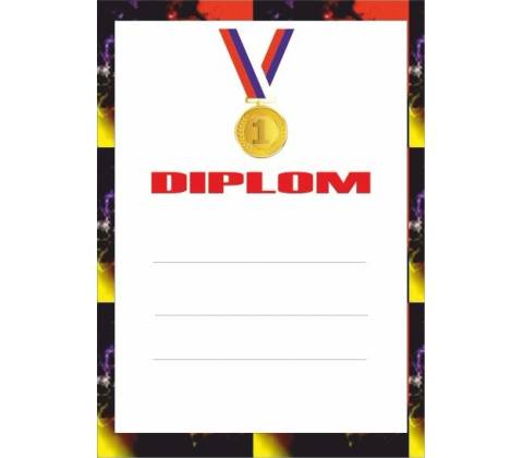 Diplom 12