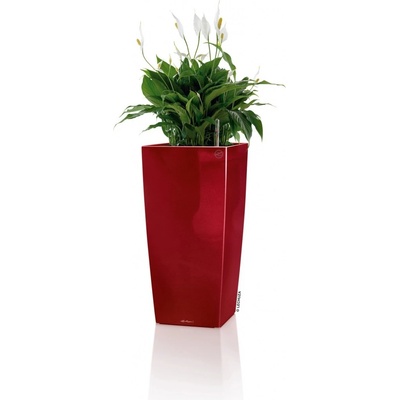 Lechuza Květináč Cubico Premium 22 červená lesklý 22 x 22 x 41 cm – Hledejceny.cz