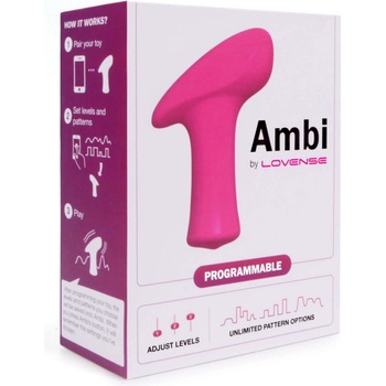 Lovense Ambi