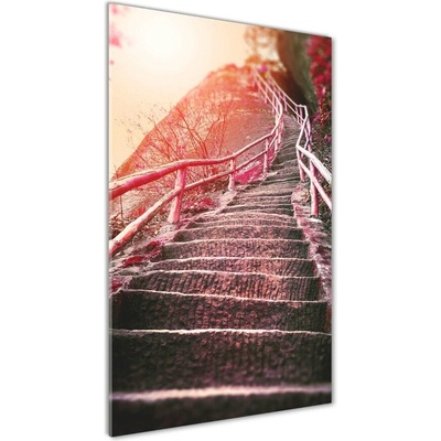 Vertikálny foto obraz sklenený Schody v horách 50x100 cm