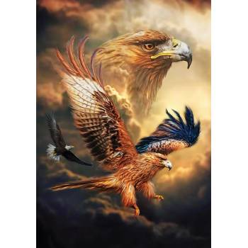 Art Puzzle - Puzzle Eagle Sky - 1 000 piese