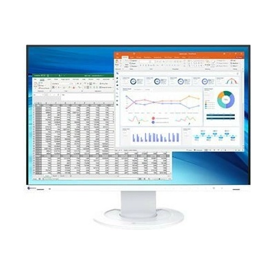 Eizo FlexScan EV2410R-WT