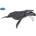 Papo - Фигурка Humpback Whale 56001G