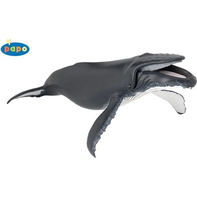 Papo - Фигурка Humpback Whale 56001G