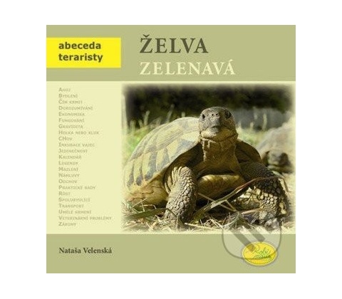 Želva zelenavá