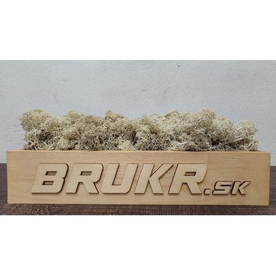 Stabilizovaný mach - Nórsky lišajník - krémová ( Creme ) 4kg