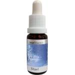 PHI Essences Подпомага духовната комуникация - Есенция Ситаел (Angel Esssence № 20), kапки 15 ml (20 ANGEL)