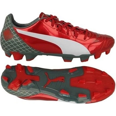 Puma EVO POWER 4.2 GRAPHIC FG