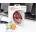 Lenovo M3803 Red (80070449)