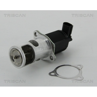AGR - Ventil TRISCAN 8813 25038