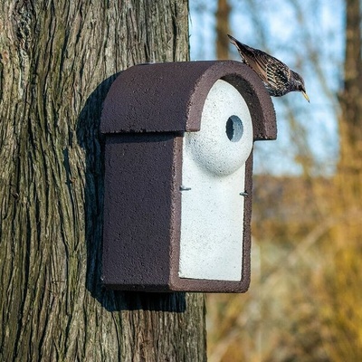 CJ Wildlife Hniezdna búdka pre škorce WoodStone