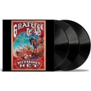 Grateful Dead - Without A Net LP