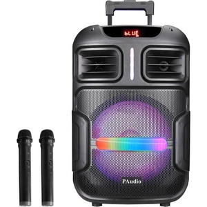 paudio PA-122 Активни колони