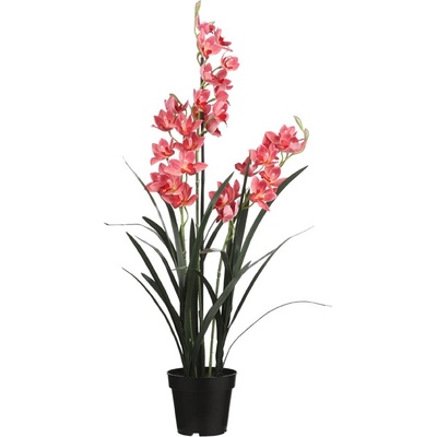Orchidej - Cymbidium v obalu růžová V117 cm