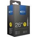 Schwalbe GV
