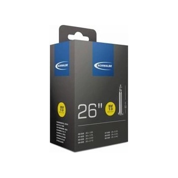 Schwalbe GV