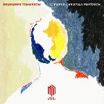 Poetzsch & Poetzsch - Poetzsch: remember Tomorrow (LP) (0885470011592)