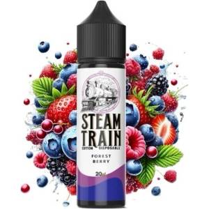Steam Train - Forest Berry 20ml/60ml