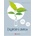 Digitální detox