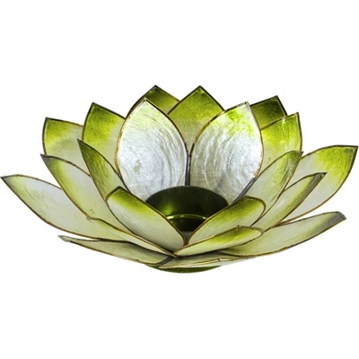 Svietnik Lotus veľký Zelený