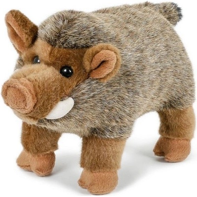 Teddies Prase divoké