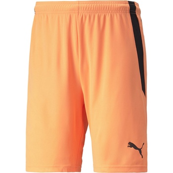 PUMA Team liga shorts s