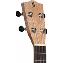 Stagg UB-30
