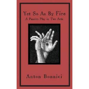 Yet so as by fire (ISBN: 9782958120108)