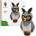 McQ by Alexander McQueen 3D Origami Creative Kit - Owl ZA6073