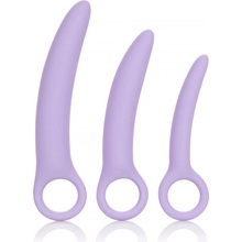 Sada Calexotics DILATOR ALENA