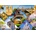 Bluebird Puzzle - Puzzle The Monuments of Paris - 2 000 piese