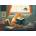 Yazz - Puzzle Cat and Books - 1 000 piese