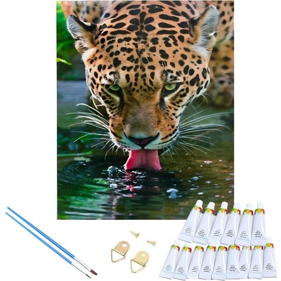 RealG RC-K-263 Malování podle čísel s rámem Leopardv